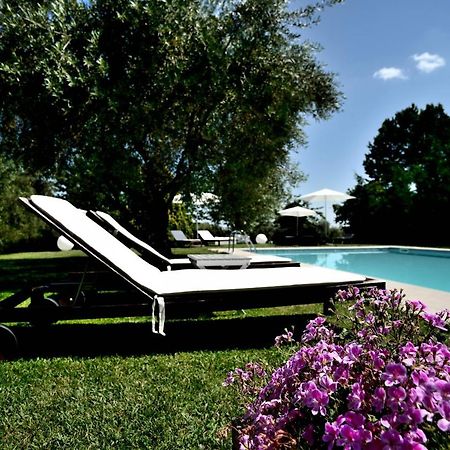 Agriturismo Al Colle แบร์ตินอโร ภายนอก รูปภาพ
