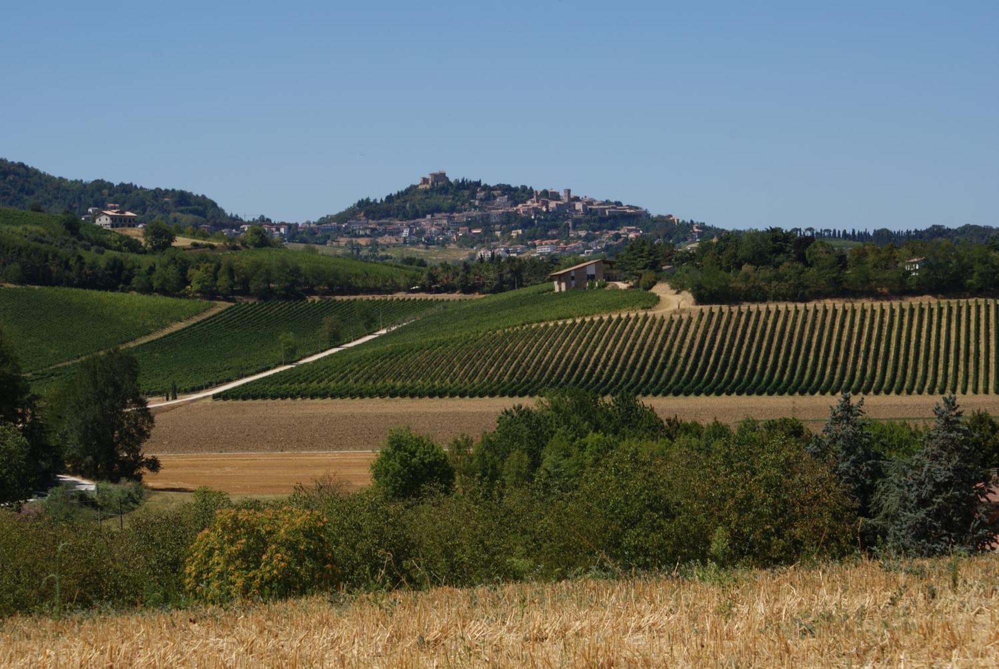 Agriturismo Al Colle แบร์ตินอโร ภายนอก รูปภาพ