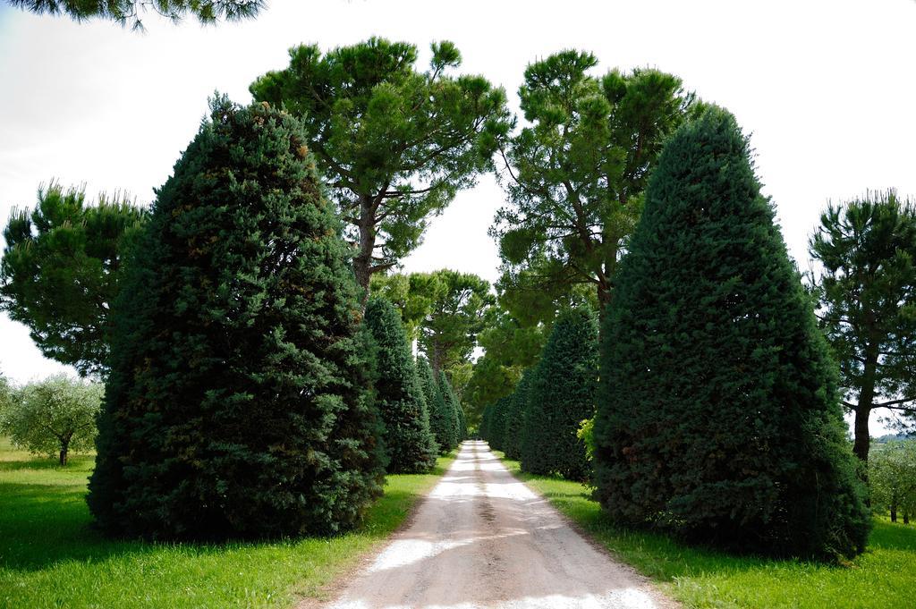 Agriturismo Al Colle แบร์ตินอโร ภายนอก รูปภาพ