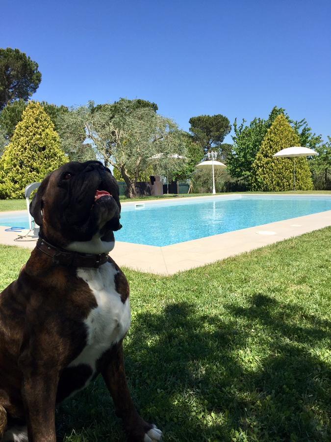 Agriturismo Al Colle แบร์ตินอโร ภายนอก รูปภาพ